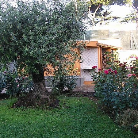 לינה וארוחת בוקר פראסקאטי Al Vecchio Olivo מראה חיצוני תמונה