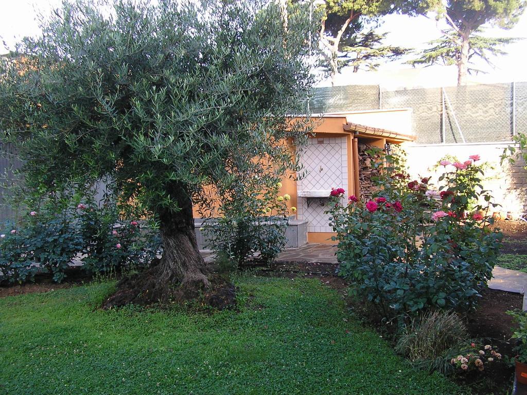 לינה וארוחת בוקר פראסקאטי Al Vecchio Olivo מראה חיצוני תמונה