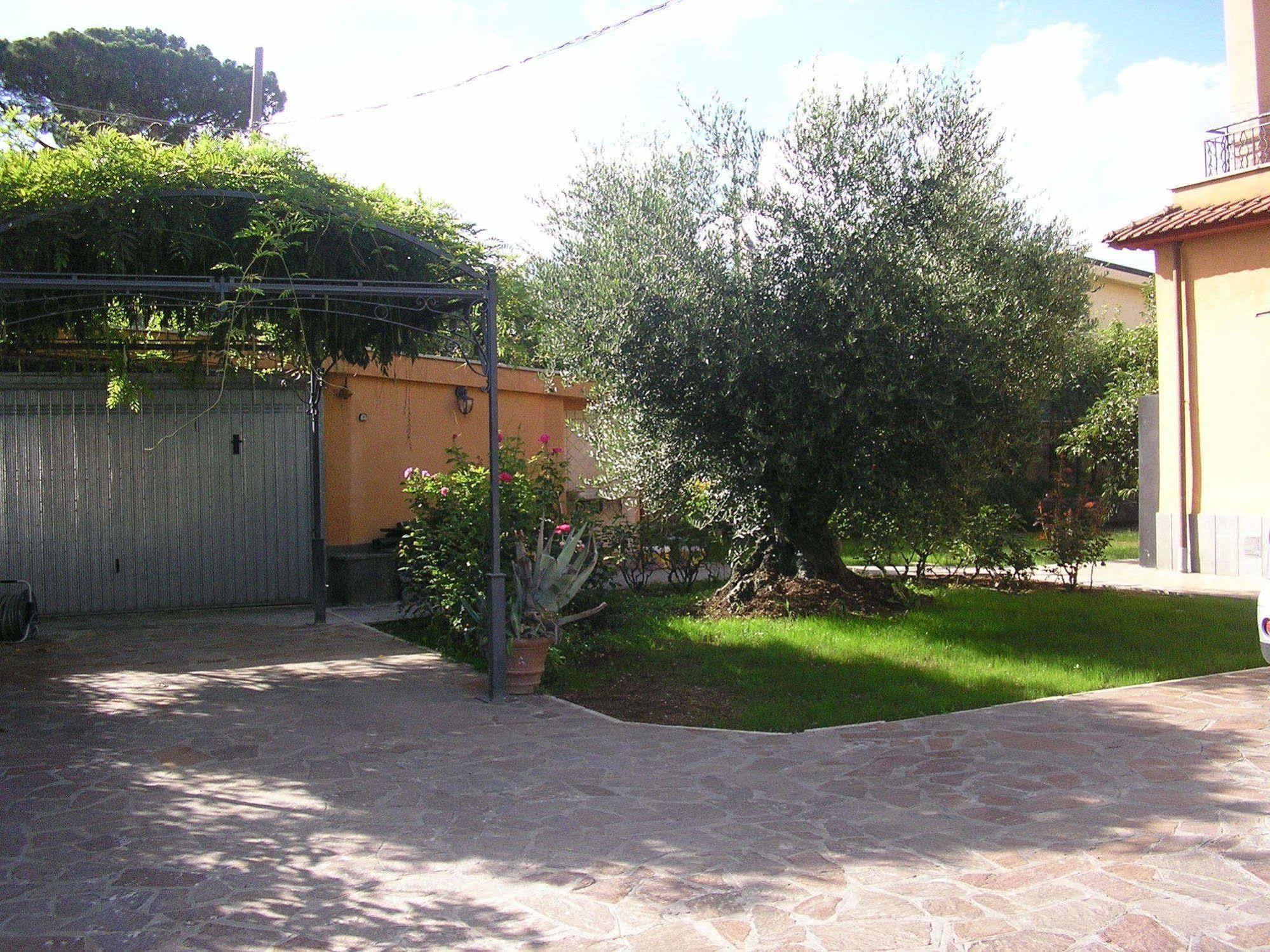 לינה וארוחת בוקר פראסקאטי Al Vecchio Olivo מראה חיצוני תמונה